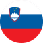 Leaving Cert Slovenian